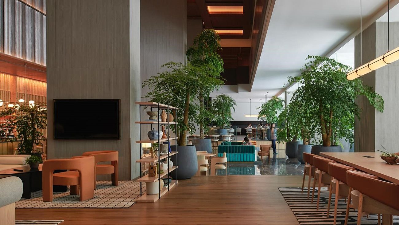 Spacious modern lounge with wooden floors, large potted plants, and stylish seating. Warm lighting and a cozy, inviting atmosphere.